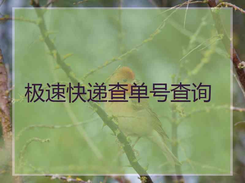 极速快递查单号查询 极速快递查单号查询