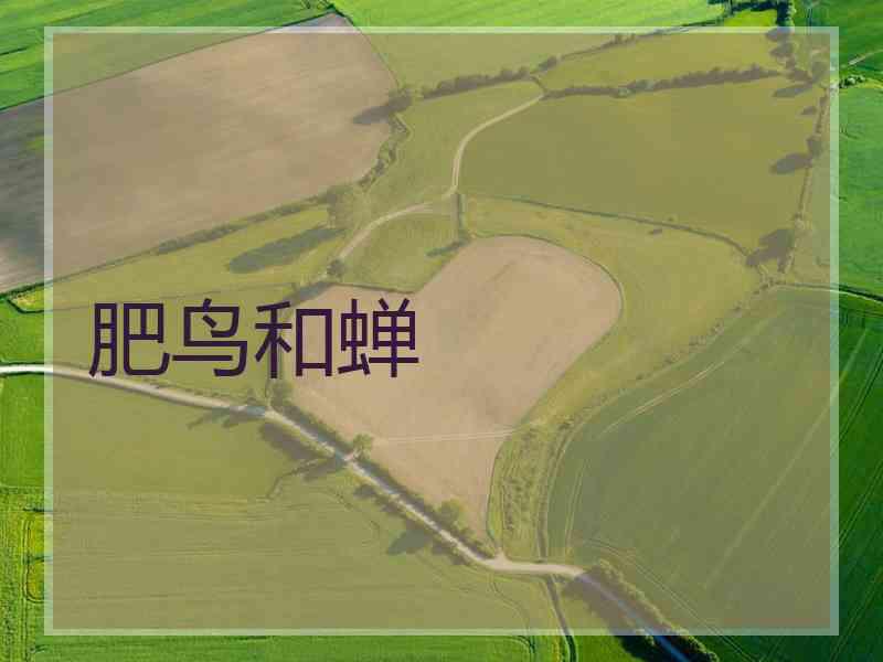 肥鸟和蝉 肥鸟和蝉