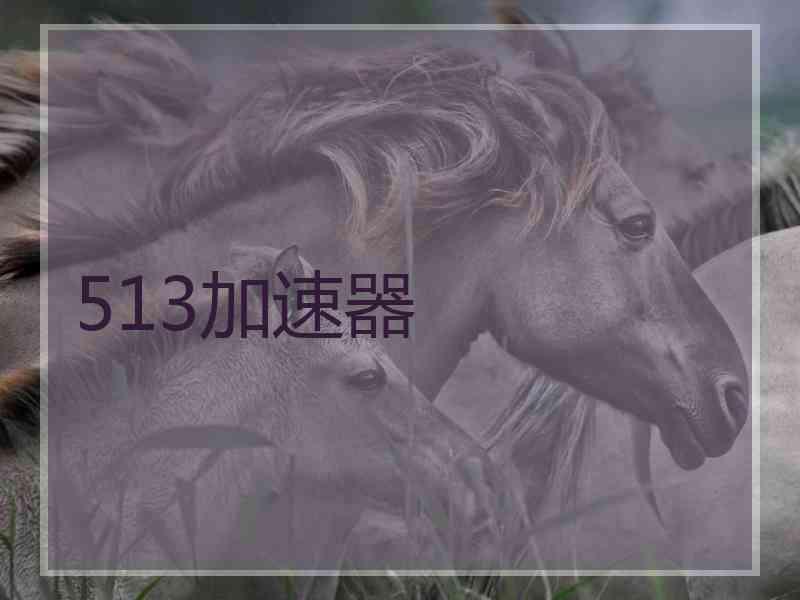 513加速器 513加速器