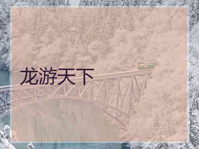 龙游天下 龙游天下