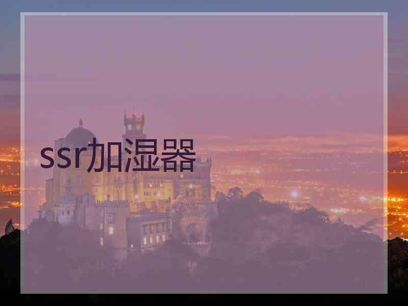 ssr加湿器 ssr加湿器