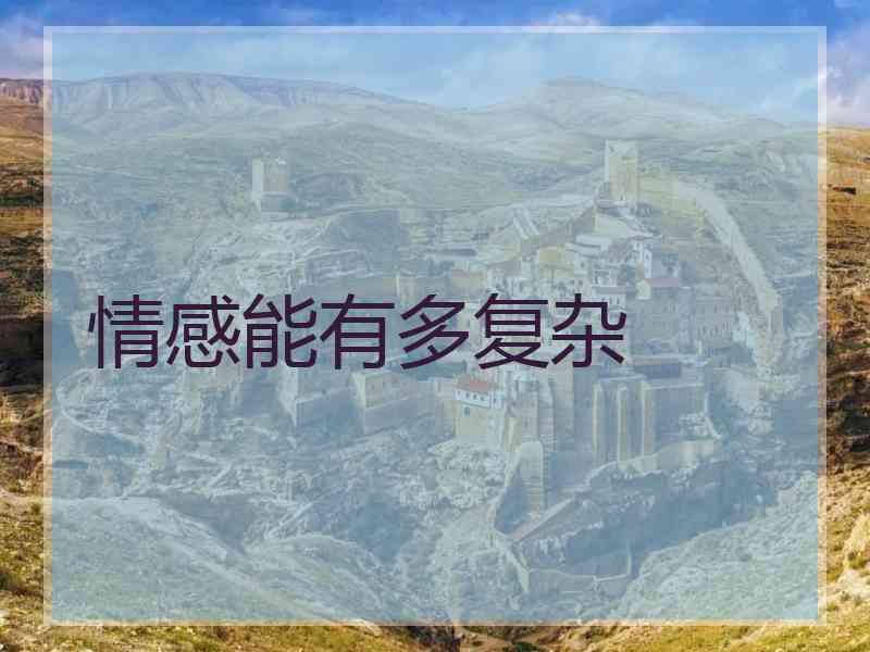 情感能有多复杂 情感能有多复杂