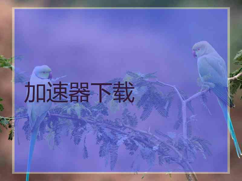 加速器下载 加速器下载