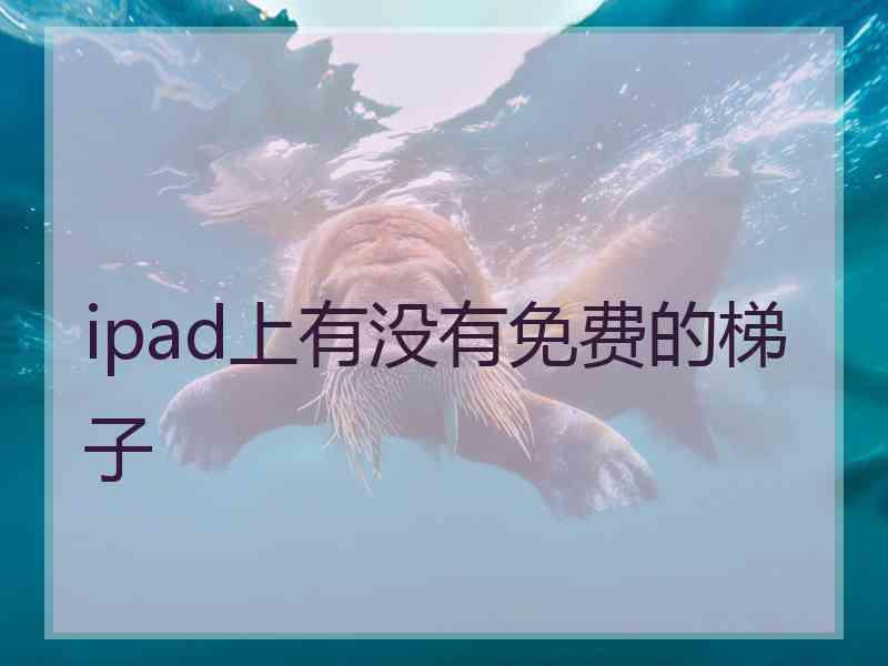 ipad上有没有免费的梯子 ipad上有没有免费的梯子