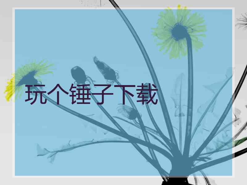 玩个锤子下载 玩个锤子下载