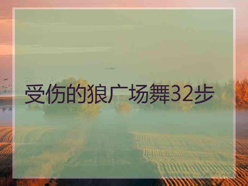 受伤的狼广场舞32步 受伤的狼广场舞32步
