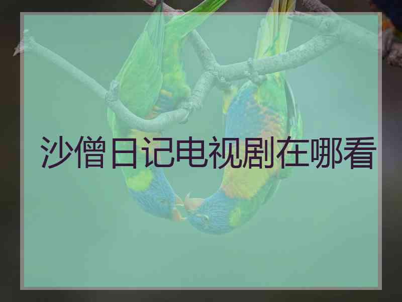 沙僧日记电视剧在哪看 沙僧日记电视剧在哪看