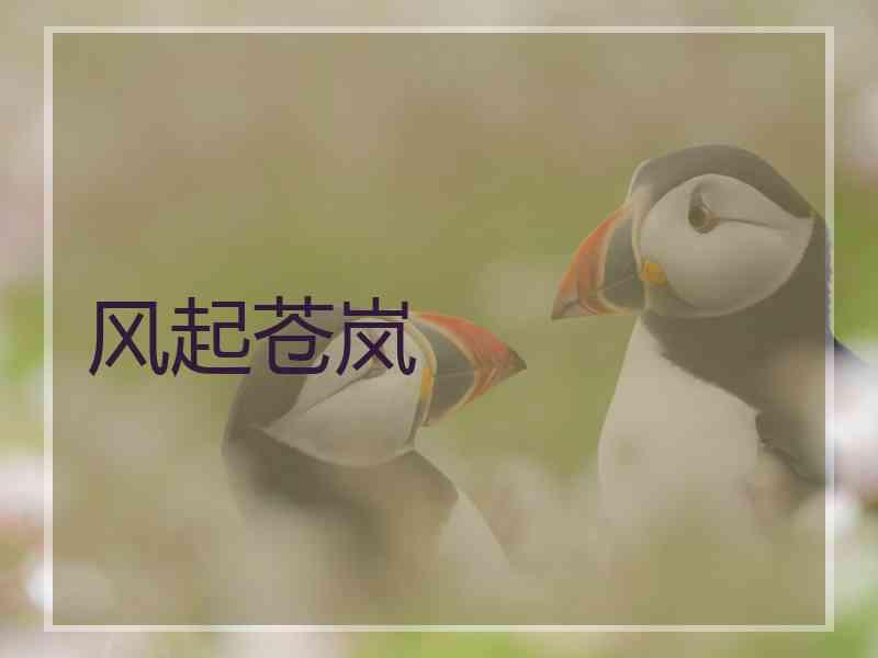 风起苍岚 风起苍岚