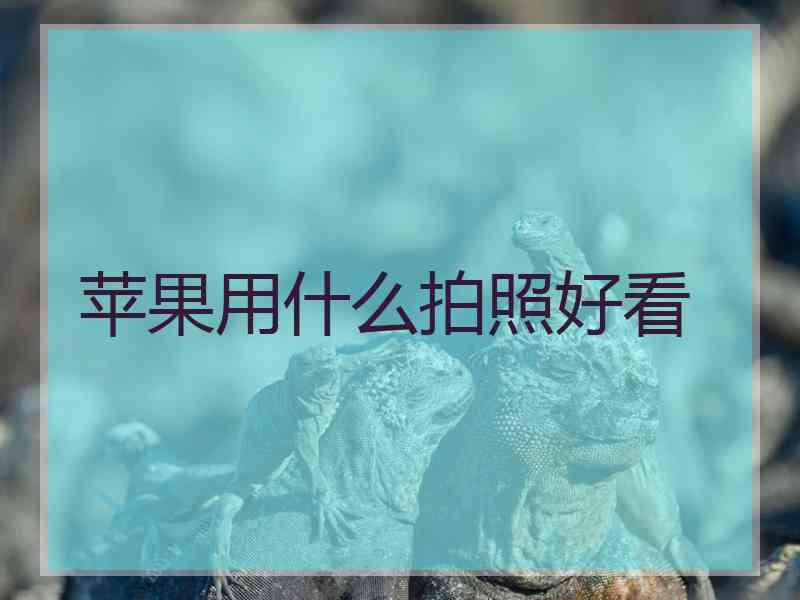 苹果用什么拍照好看 苹果用什么拍照好看