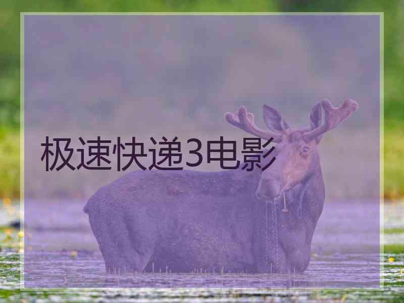 极速快递3电影 极速快递3电影