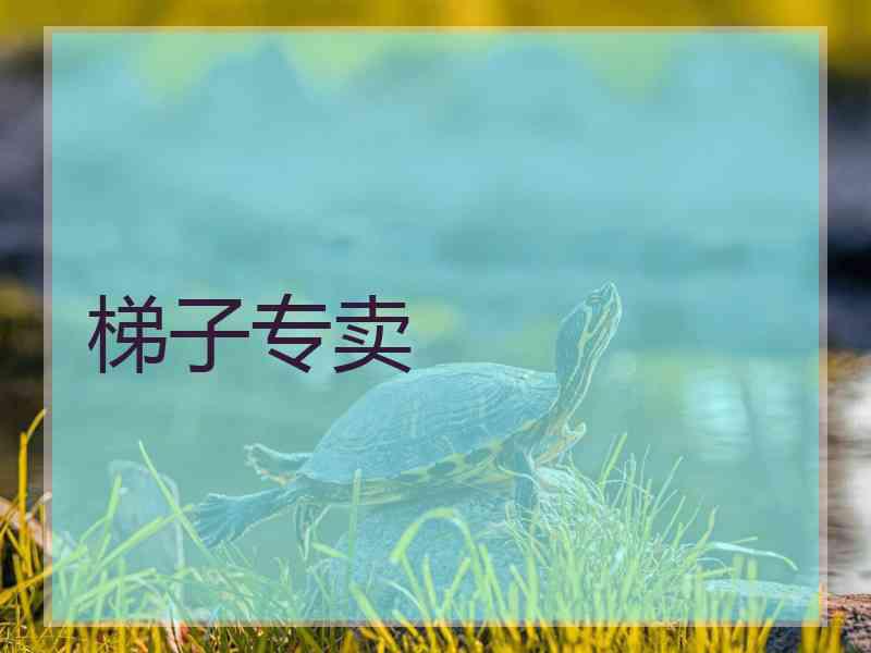 梯子专卖 梯子专卖