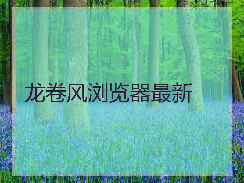 龙卷风浏览器最新 龙卷风浏览器最新
