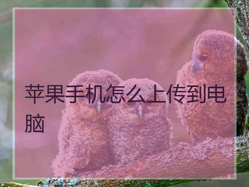 苹果手机怎么上传到电脑 苹果手机怎么上传到电脑