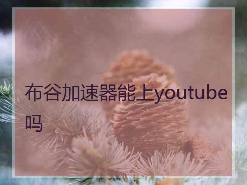 布谷加速器能上youtube吗 布谷加速器能上youtube吗
