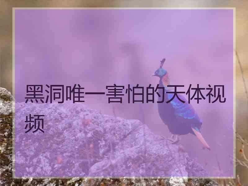 黑洞唯一害怕的天体视频 黑洞唯一害怕的天体视频