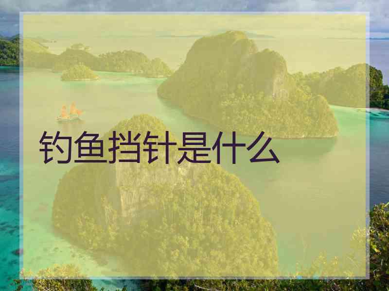 钓鱼挡针是什么 钓鱼挡针是什么