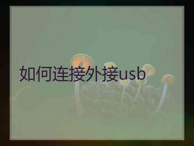 如何连接外接usb 如何连接外接usb