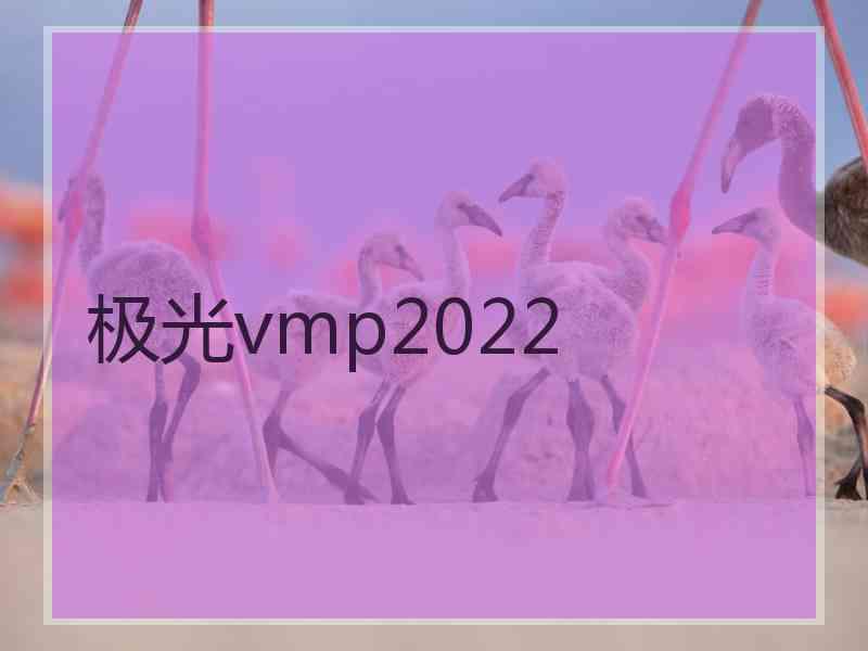 极光vmp2022 极光vmp2022