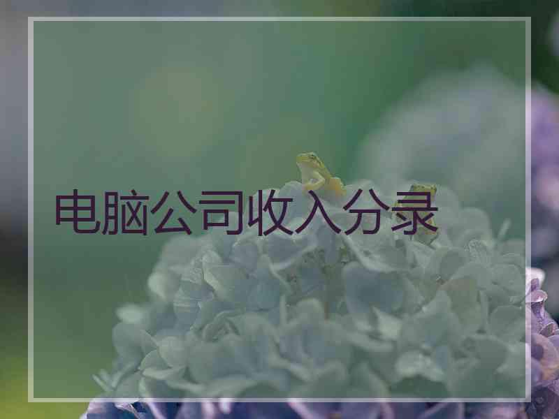 电脑公司收入分录 电脑公司收入分录