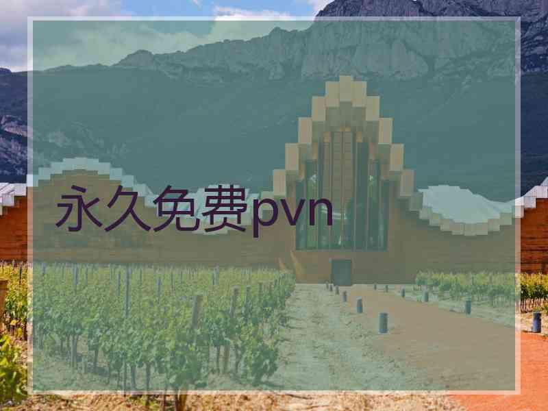 永久免费pvn 永久免费pvn