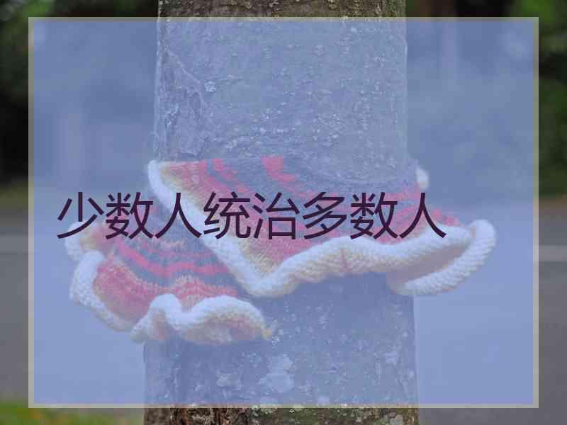 少数人统治多数人 少数人统治多数人