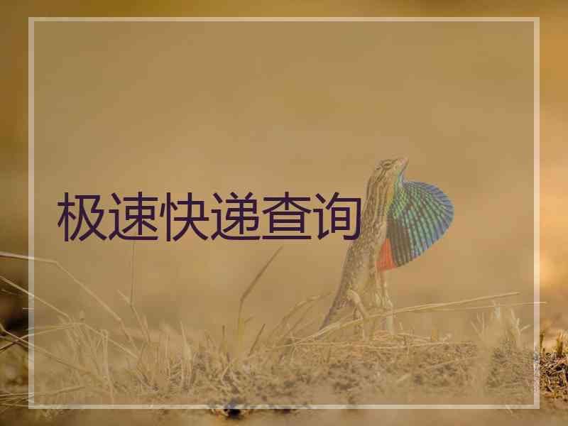 极速快递查询 极速快递查询