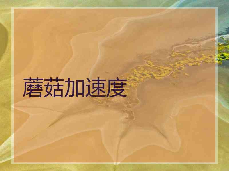 蘑菇加速度 蘑菇加速度