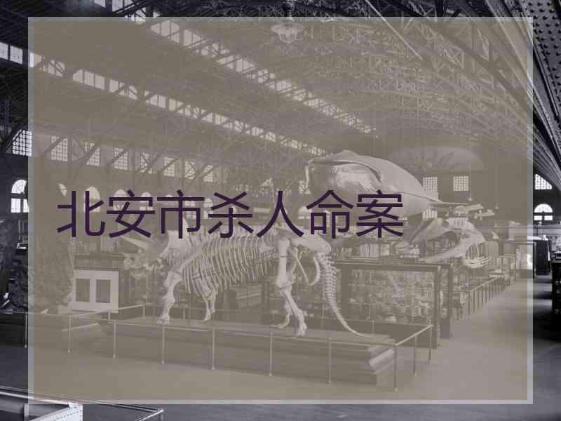 北安市杀人命案 北安市杀人命案