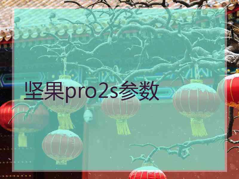 坚果pro2s参数 坚果pro2s参数