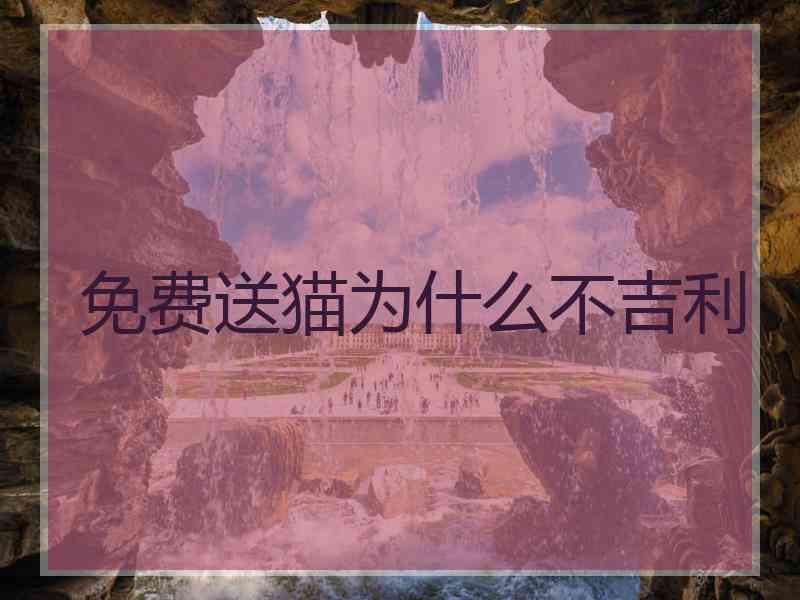 免费送猫为什么不吉利 免费送猫为什么不吉利