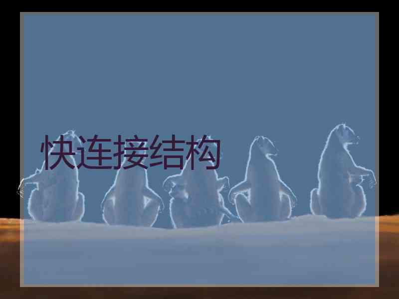 快连接结构 快连接结构