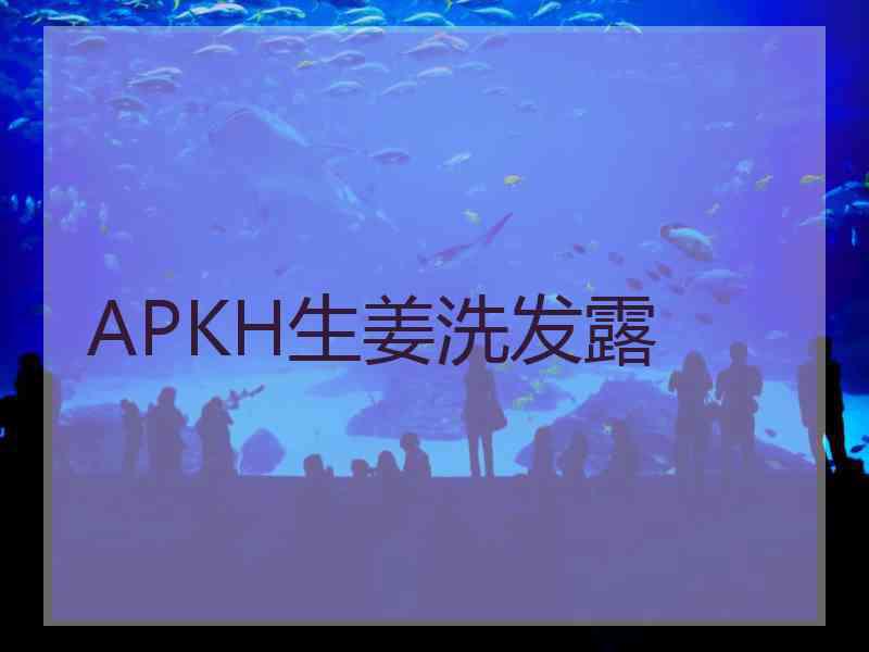 APKH生姜洗发露 APKH生姜洗发露