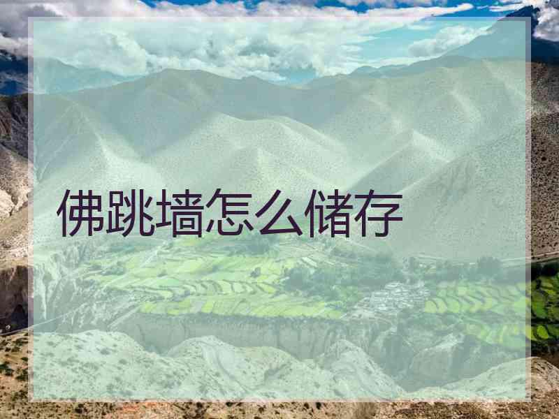 佛跳墙怎么储存 佛跳墙怎么储存