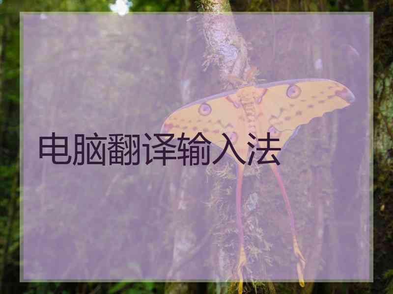 电脑翻译输入法 电脑翻译输入法