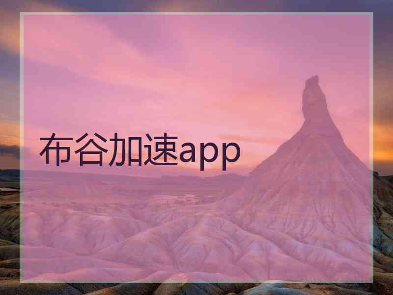 布谷加速app 布谷加速app
