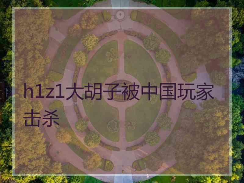 h1z1大胡子被中国玩家击杀 h1z1大胡子被中国玩家击杀