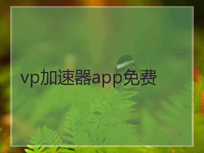 vp加速器app免费 vp加速器app免费