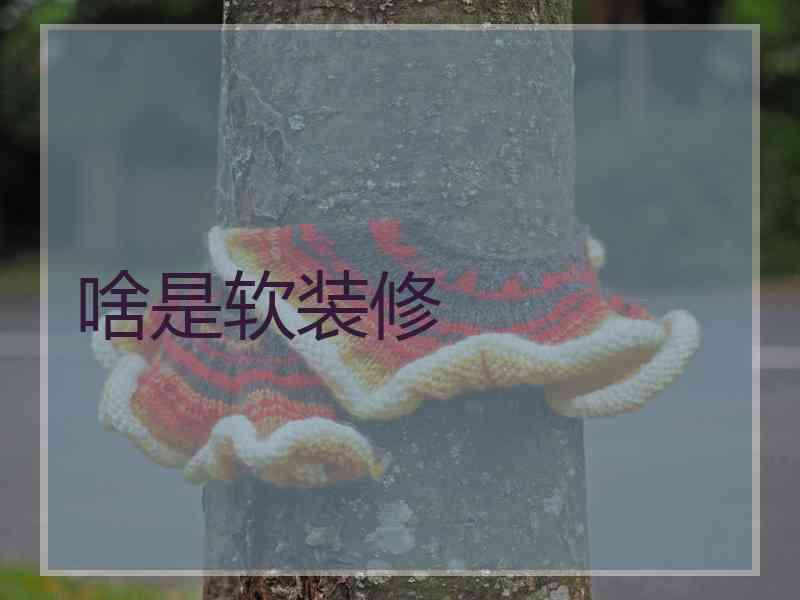 啥是软装修 啥是软装修