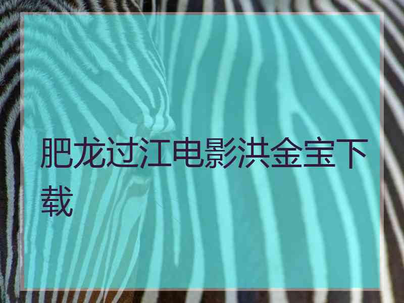 肥龙过江电影洪金宝下载 肥龙过江电影洪金宝下载