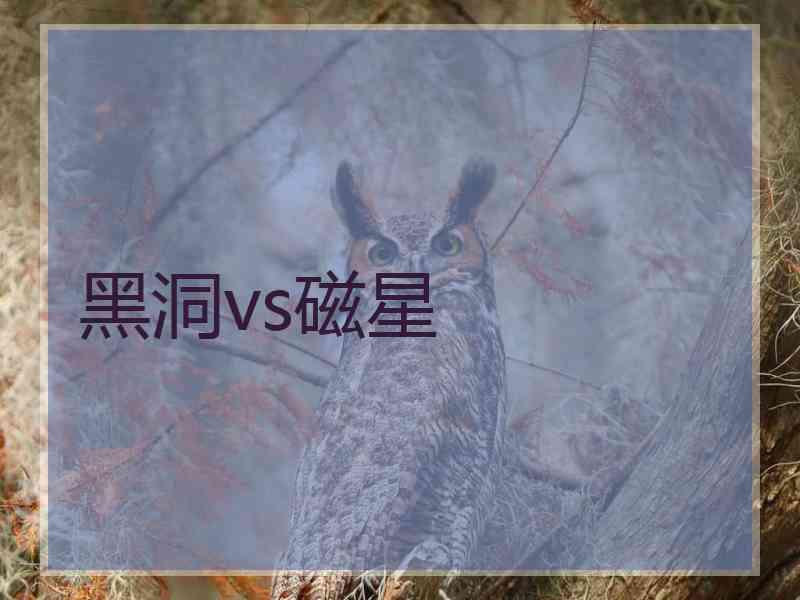 黑洞vs磁星 黑洞vs磁星