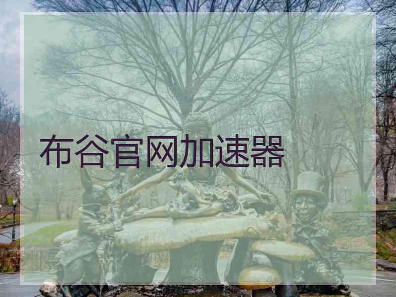 布谷官网加速器 布谷官网加速器