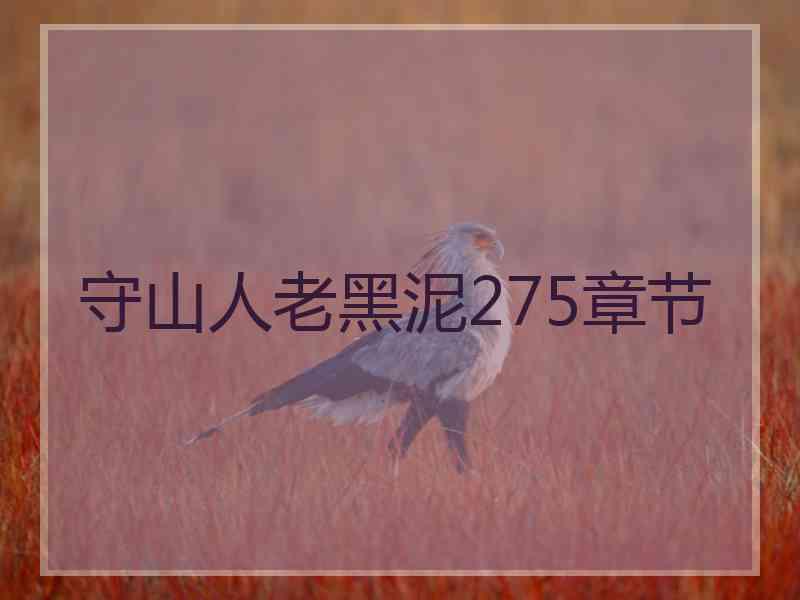 守山人老黑泥275章节 守山人老黑泥275章节