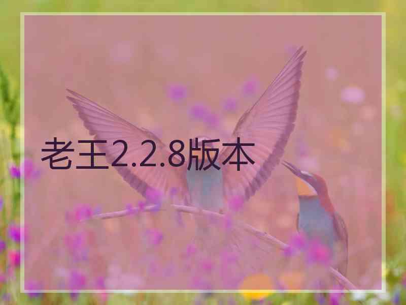 老王2.2.8版本 老王2.2.8版本