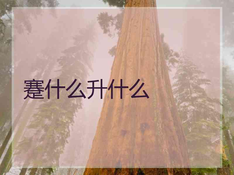 蹇什么升什么 蹇什么升什么