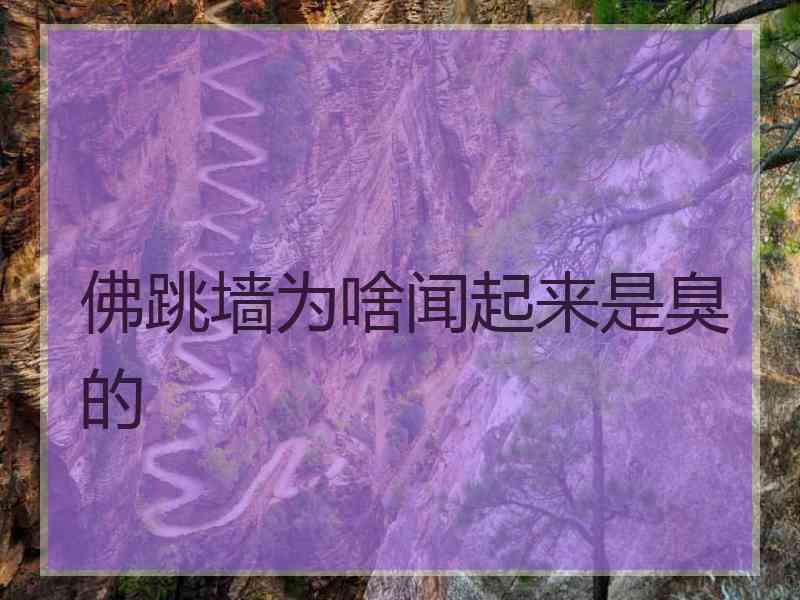 佛跳墙为啥闻起来是臭的 佛跳墙为啥闻起来是臭的
