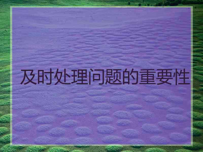 及时处理问题的重要性 及时处理问题的重要性
