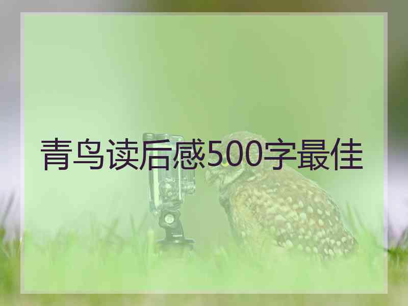 青鸟读后感500字最佳 青鸟读后感500字最佳