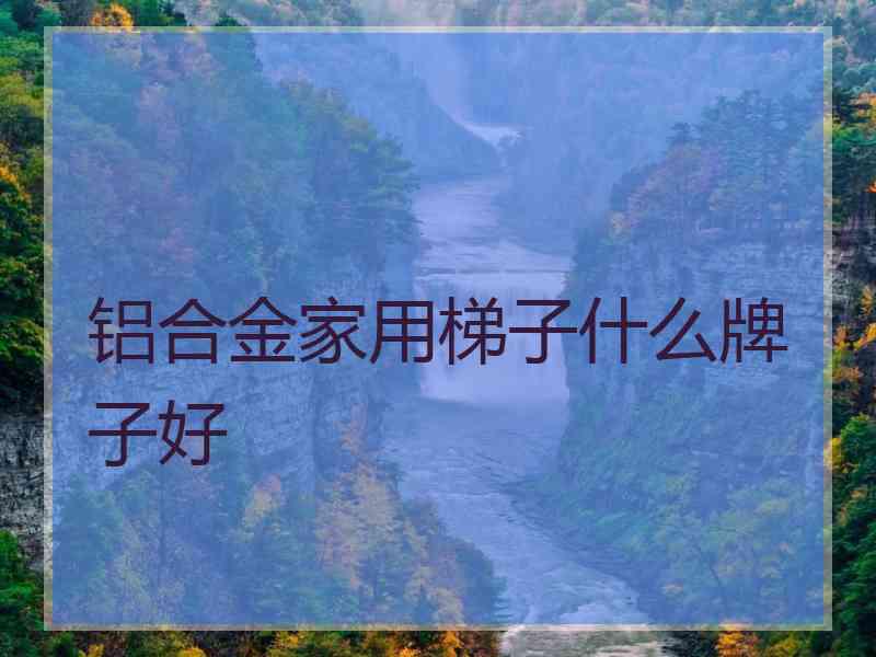 铝合金家用梯子什么牌子好 铝合金家用梯子什么牌子好
