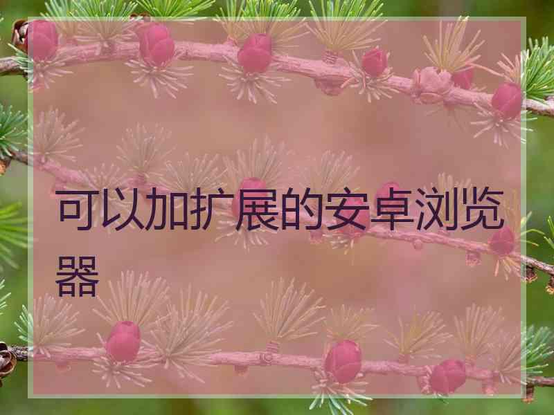 可以加扩展的安卓浏览器 可以加扩展的安卓浏览器