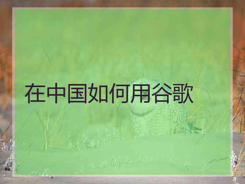 在中国如何用谷歌 在中国如何用谷歌